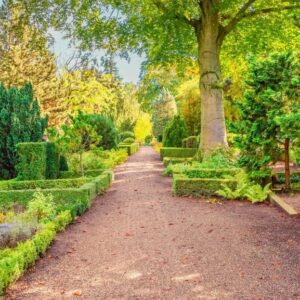 seniorklubben på guidet rundvisning på assistens kirkegård